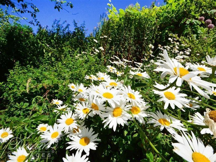 Whispering Pines Cottage Swyre Εξωτερικό φωτογραφία